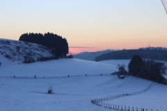 winteraussicht-hinterm-haus